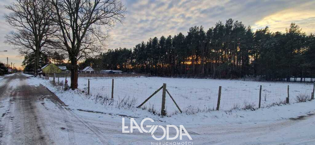 Działka Sprzedaż Białcz