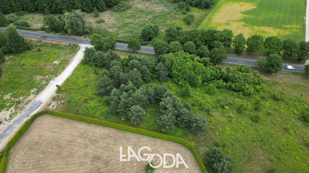 Działka Sprzedaż Różanki