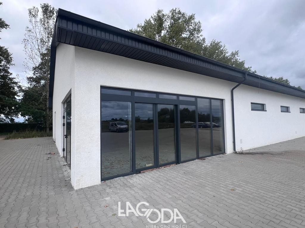 Lokal Wynajem Gorzów Wielkopolski