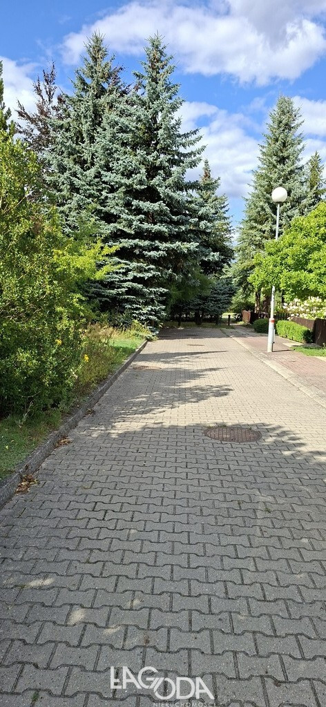 Dom Sprzedaż Gorzów Wielkopolski Górczyn
