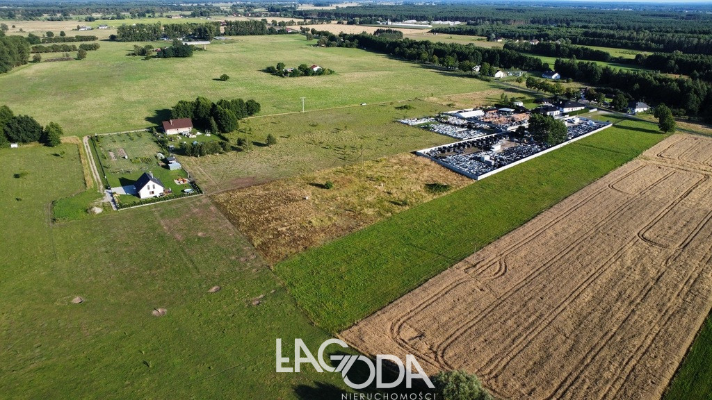 Działka Sprzedaż Borek