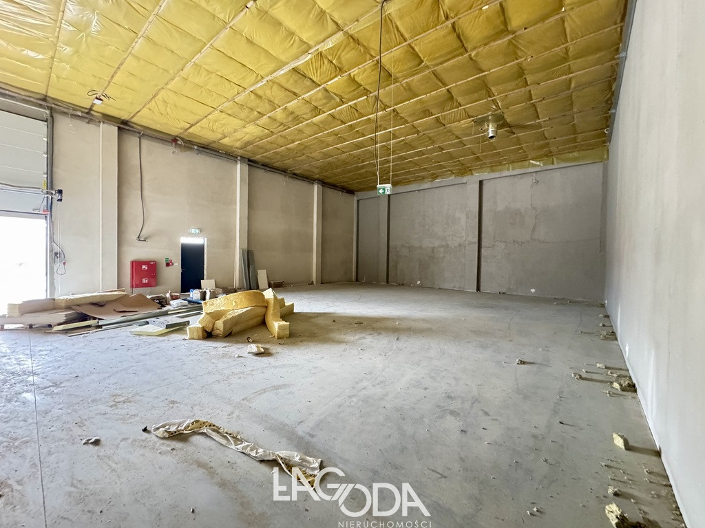 Lokal Wynajem Gorzów Wielkopolski