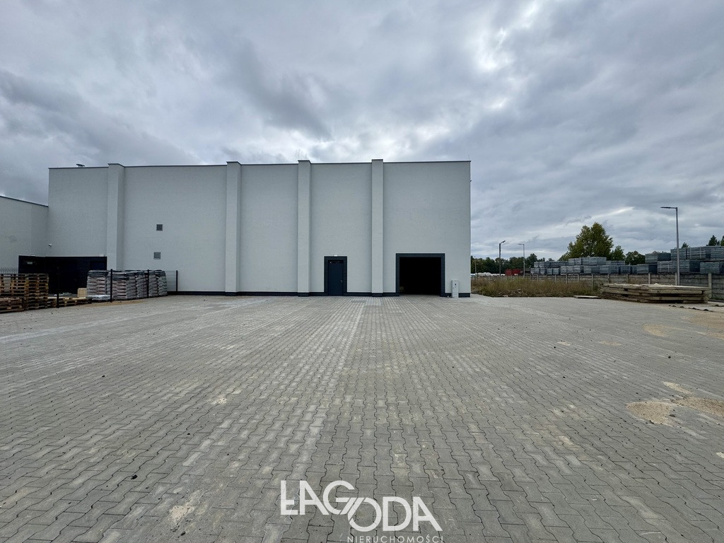 Lokal Wynajem Gorzów Wielkopolski