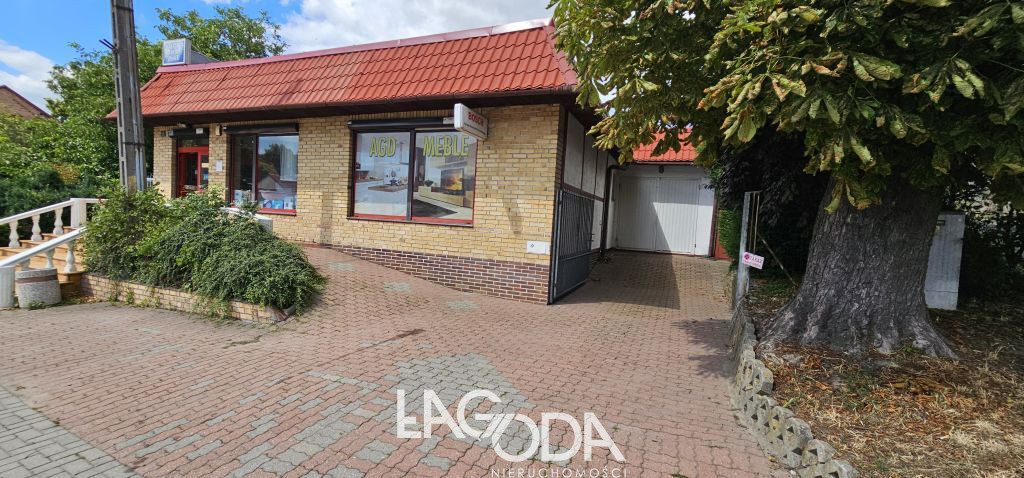 Lokal Sprzedaż Cedynia Mieszka I