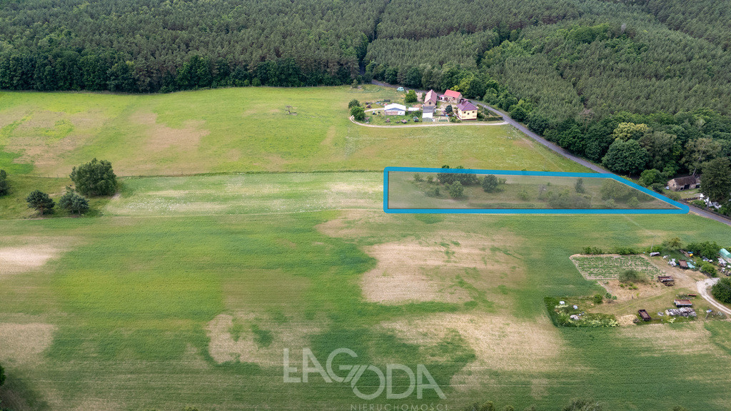 Działka Sprzedaż Nowe Dzieduszyce
