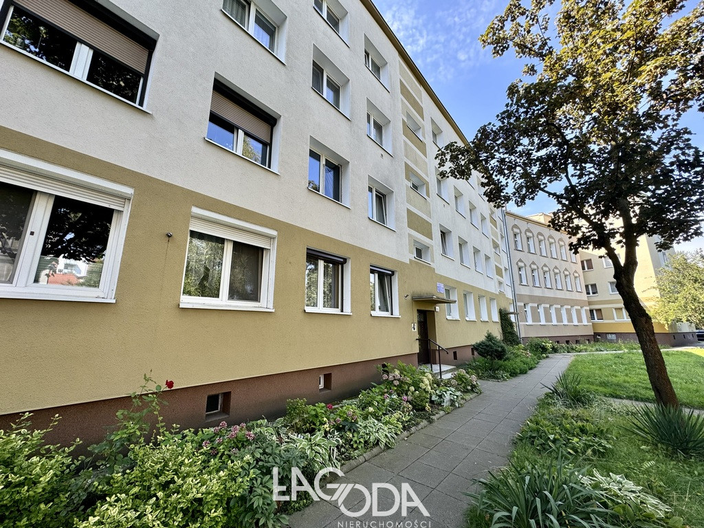 Mieszkanie Wynajem Gorzów Wielkopolski Centrum