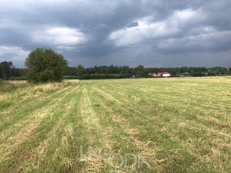 Działka Sprzedaż Danków