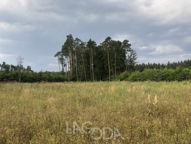 Działka Sprzedaż Danków