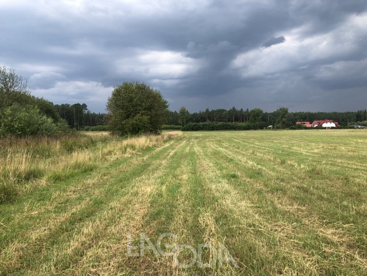 Działka Sprzedaż Danków