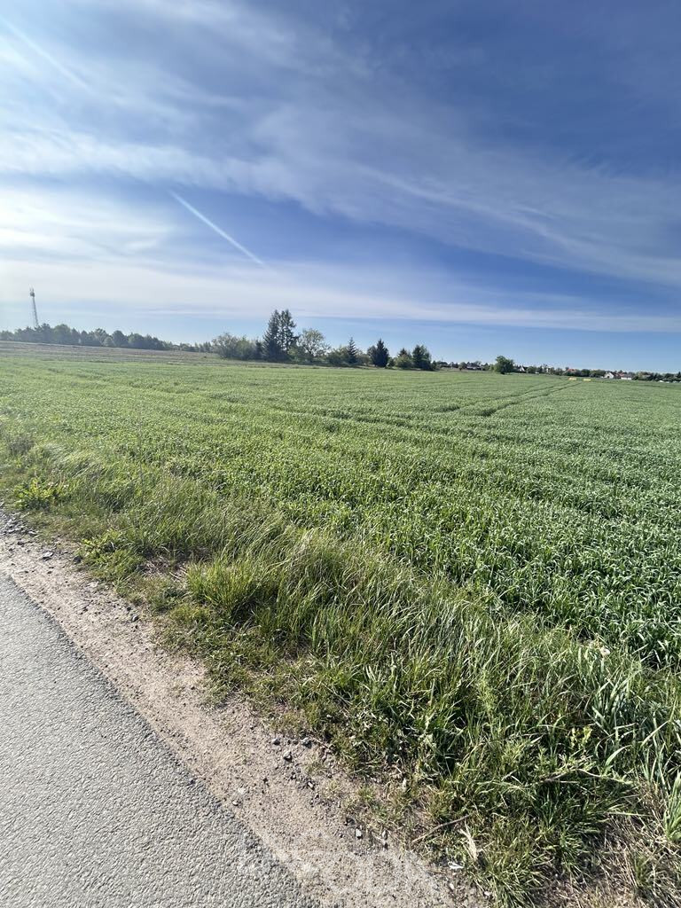 Działka Sprzedaż  Siedlice Skrajna