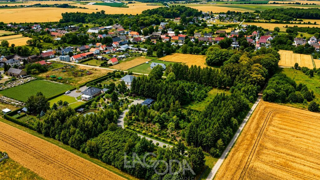 Działka Sprzedaż Gralewo
