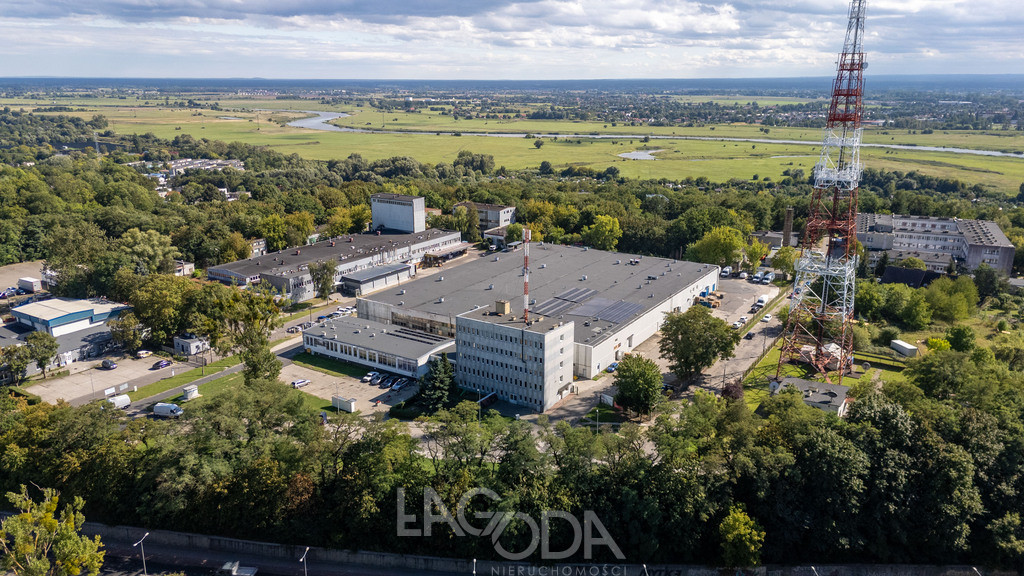 Obiekt Wynajem Gorzów Wielkopolski