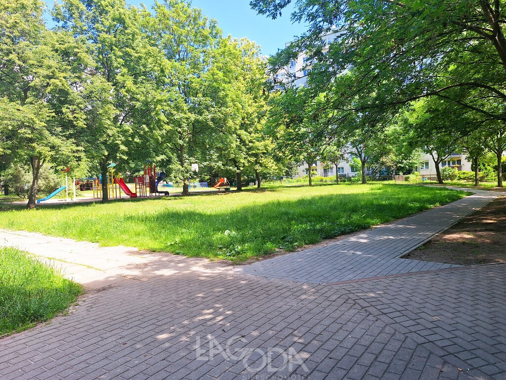Mieszkanie Wynajem Gorzów Wielkopolski os. Dolinki