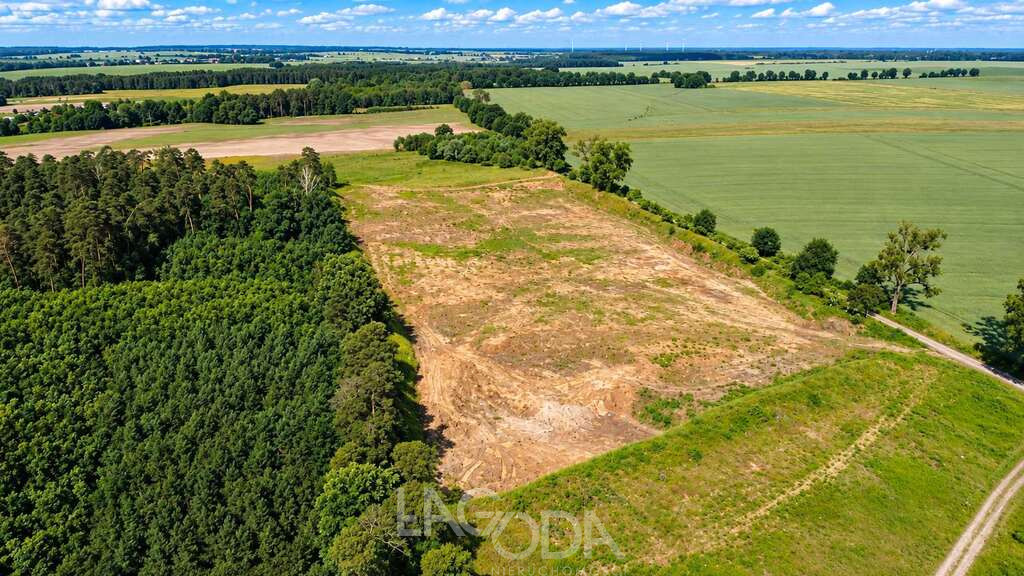 Działka Sprzedaż Baczyna-Kolonia