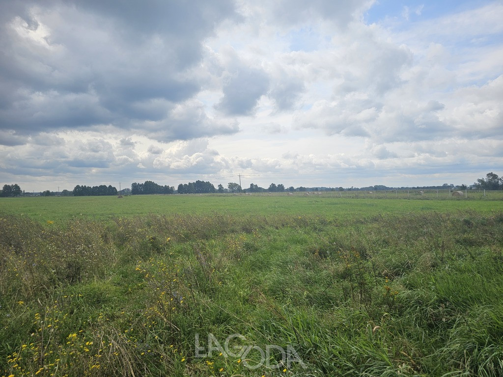Działka Sprzedaż Prądocin