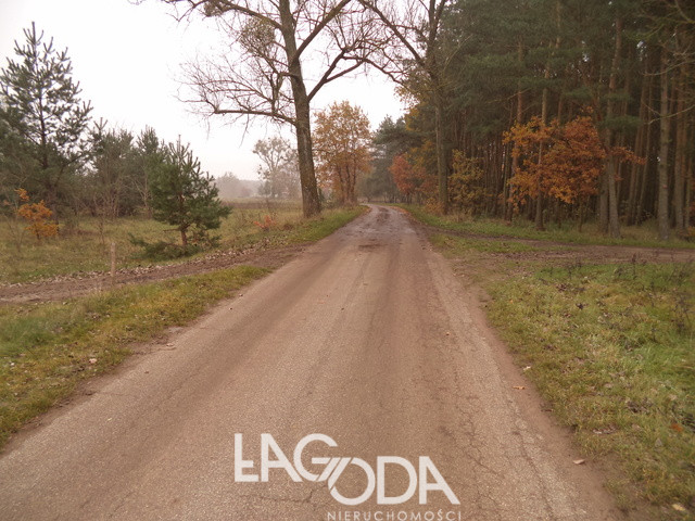 Działka Sprzedaż Goszczanowiec