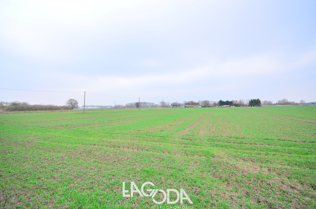 Działka Sprzedaż Gorzów Wielkopolski Zakanale