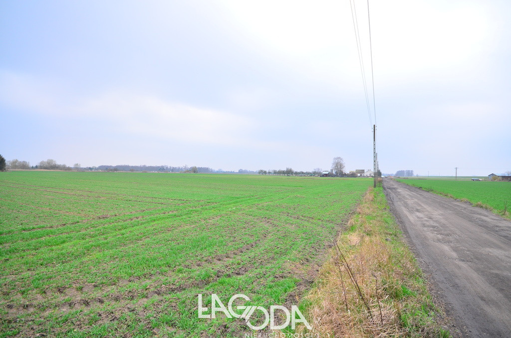 Działka Sprzedaż Gorzów Wielkopolski Zakanale