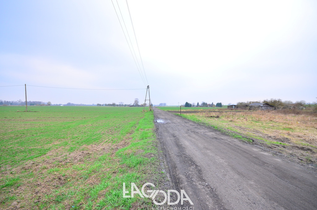 Działka Sprzedaż Gorzów Wielkopolski Zakanale