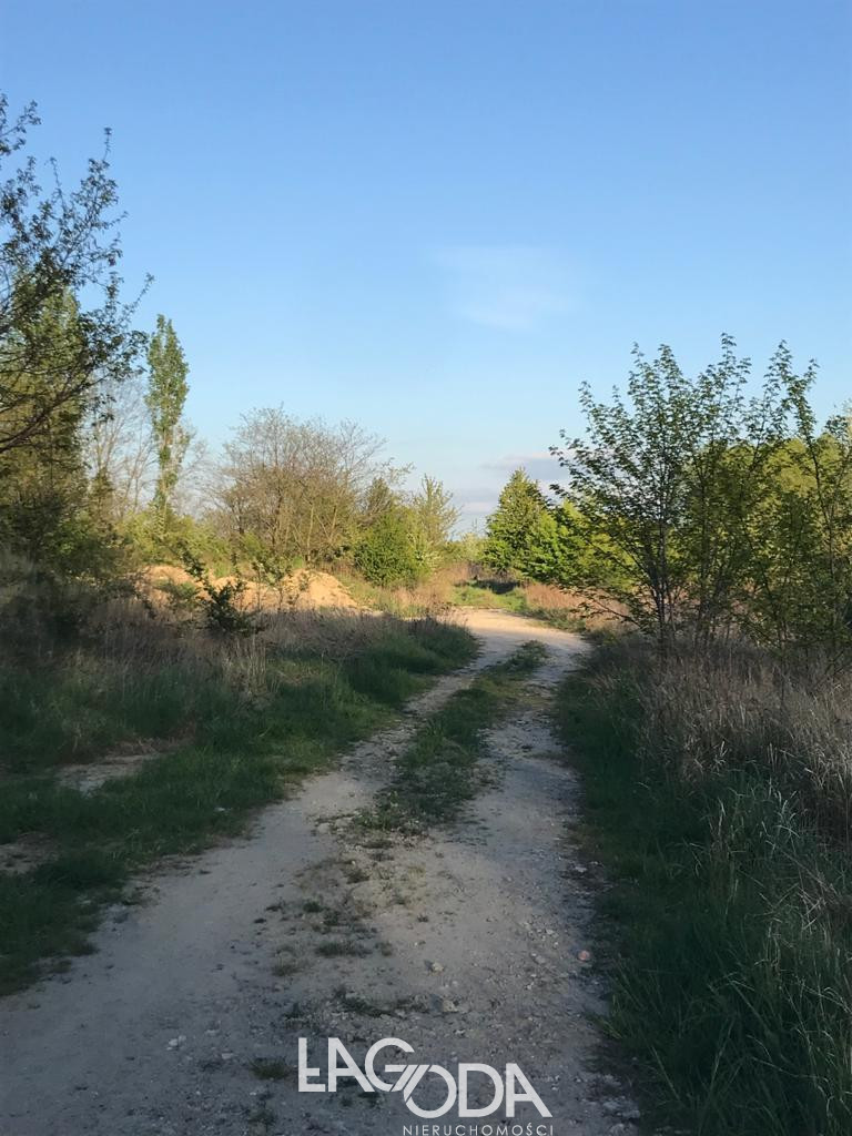 Działka Sprzedaż Gorzów Wielkopolski