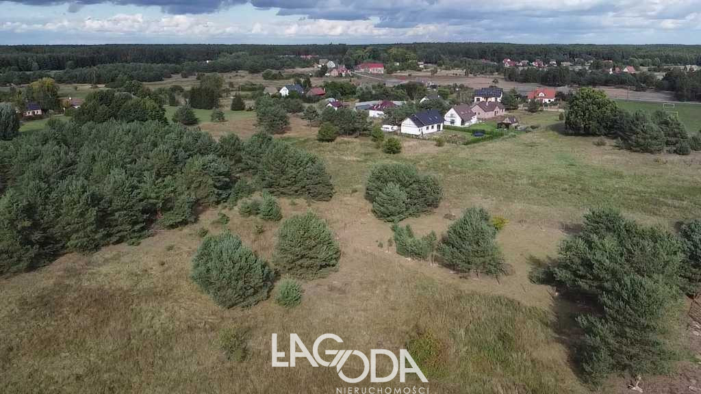 Działka Sprzedaż Łośno