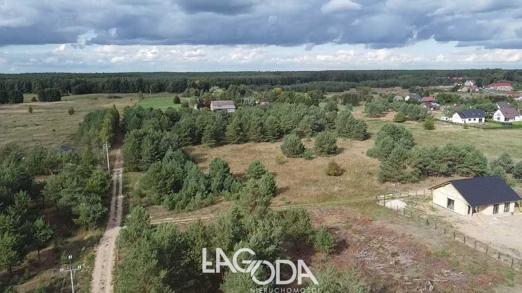 Działka Sprzedaż Łośno