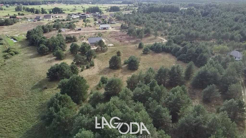 Działka Sprzedaż Łośno