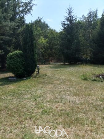 Działka Sprzedaż Parzeńsko