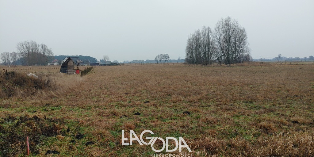 Działka Sprzedaż Łagodzin