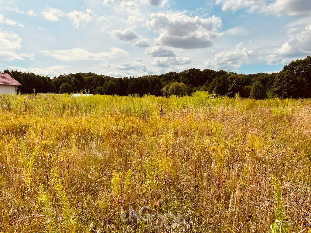 Działka Sprzedaż Santocko