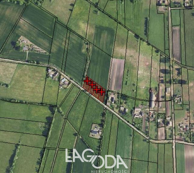 Działka Sprzedaż Ludzisławice