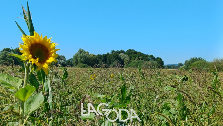 Działka Sprzedaż Włostów