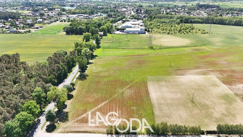 Działka Sprzedaż Kłodawa