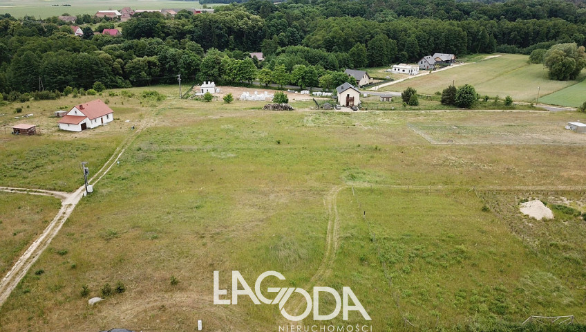 Działka Sprzedaż Lubniewice