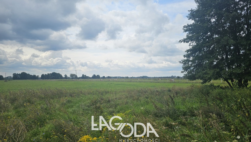 Działka Sprzedaż Prądocin