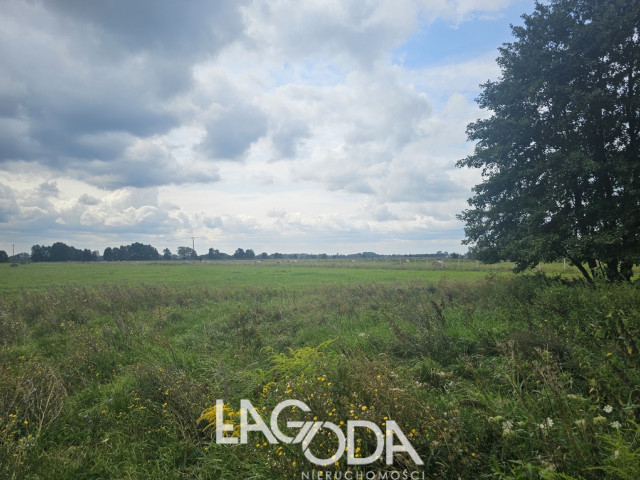 Działka Sprzedaż Prądocin