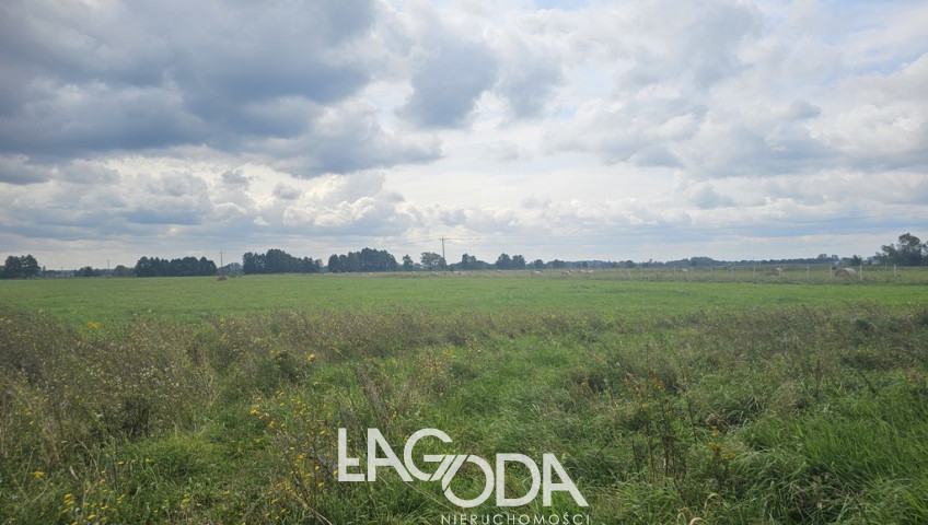 Działka Sprzedaż Prądocin