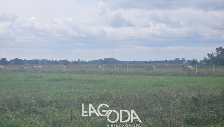 Działka Sprzedaż Prądocin