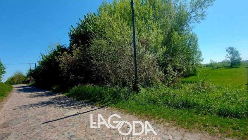 Działka Sprzedaż Bogdaniec