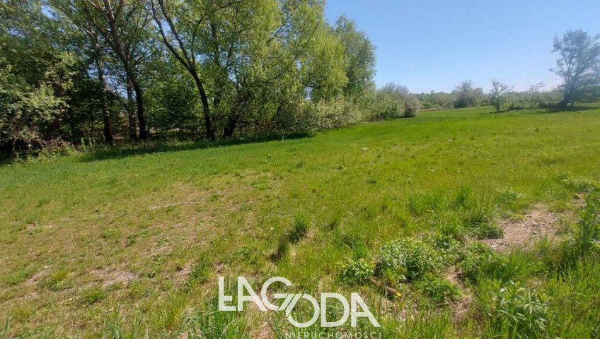 Działka Sprzedaż Bogdaniec