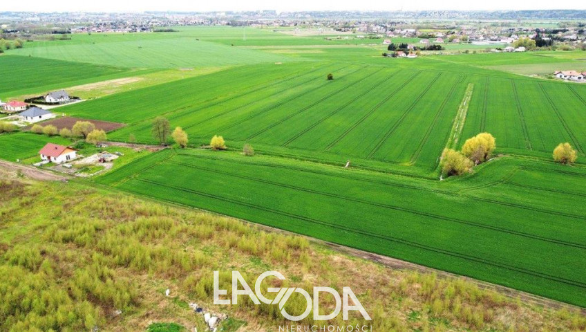 Działka Sprzedaż Gorzów Wielkopolski Karnin