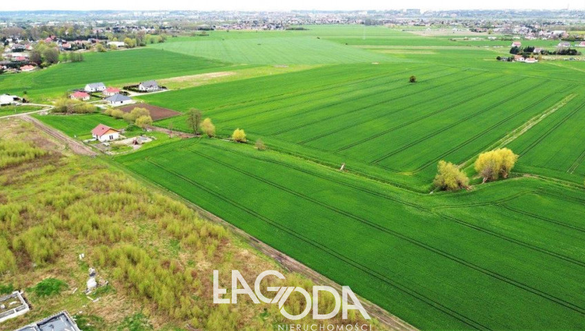 Działka Sprzedaż Gorzów Wielkopolski Karnin