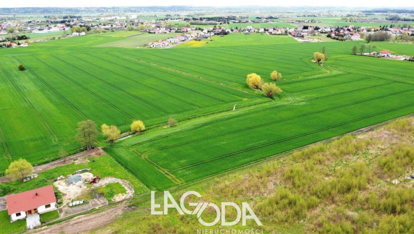 Działka Sprzedaż Gorzów Wielkopolski Karnin