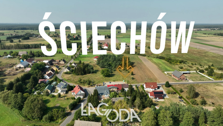 Działka Sprzedaż Ściechów