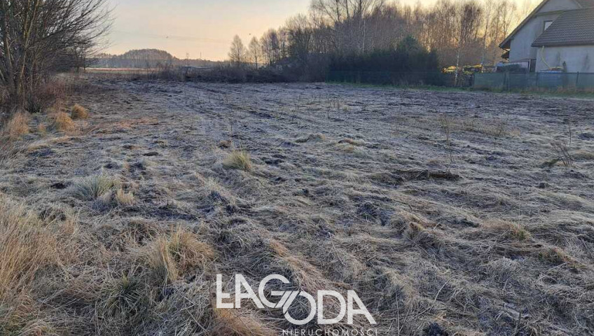 Działka Sprzedaż Deszczno