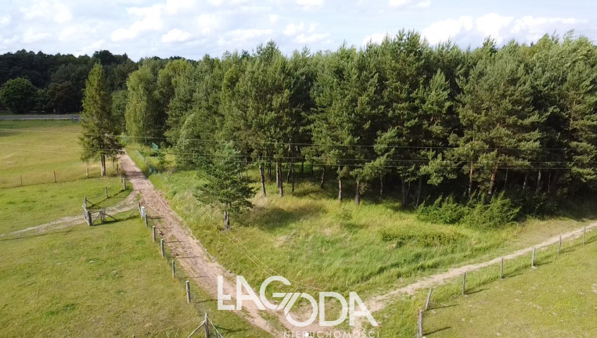 Działka Sprzedaż Danków