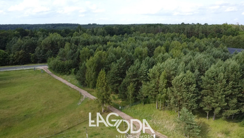 Działka Sprzedaż Danków