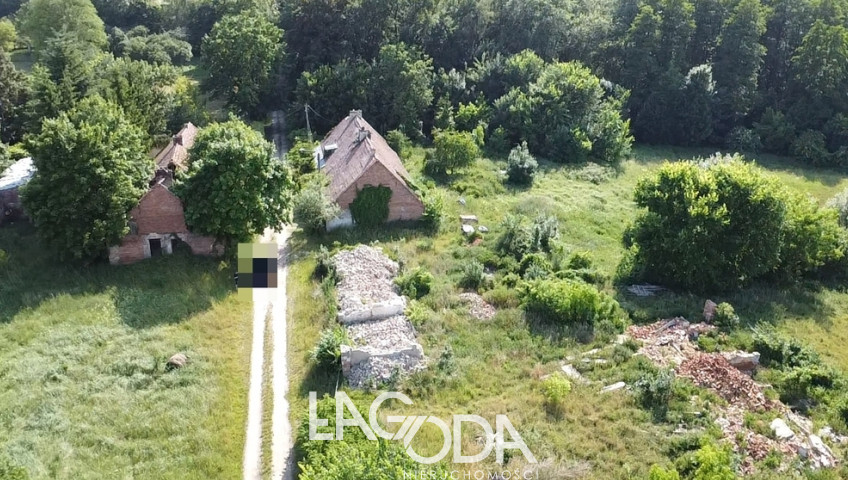 Działka Sprzedaż Swadzim