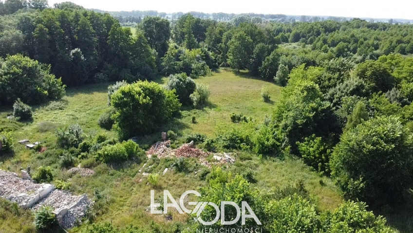 Działka Sprzedaż Swadzim