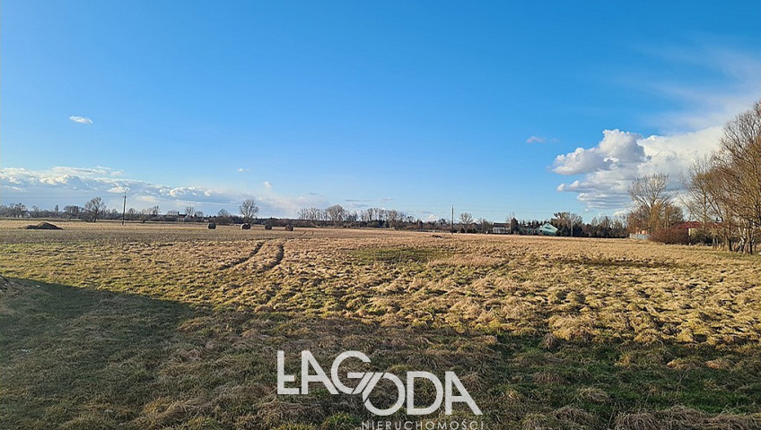 Działka Sprzedaż Krasowiec